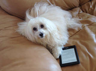 Cute Dog on Tablet
